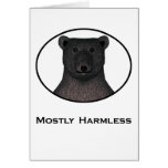 Mostly Harmless Card