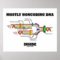 Mostly Noncoding DNA Inside (DNA Replication) Poster