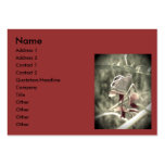 Moth Business Card
