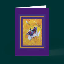 Moth cards