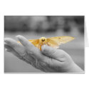 Moth Card