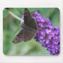 Moth Dreams Mouspad mousepads