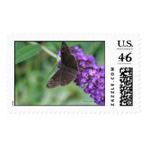 Moth Dreams Postage Stamp stamps