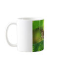 Moth on Leaf 2 mugs