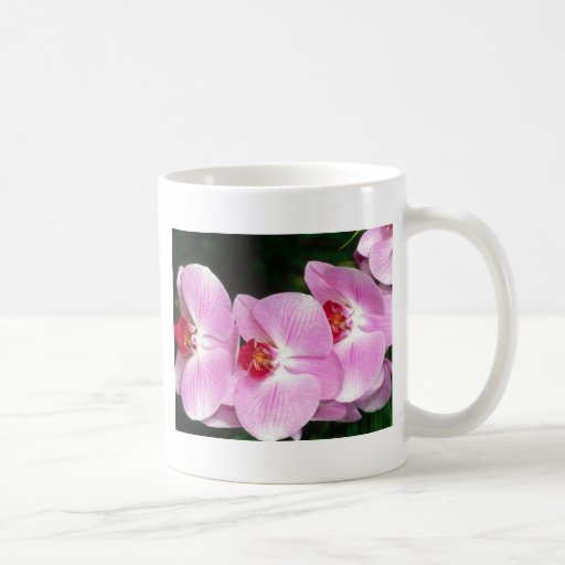Moth Orchid Coffee Mugs
