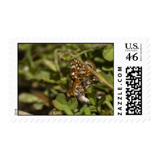 Moth Stamp 1 stamp