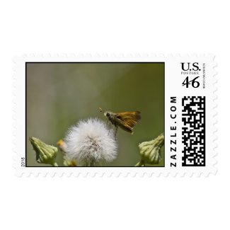 Moth Stamp 2 stamp