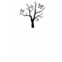 moth tree