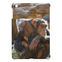 Mother and Baby
