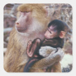 Mother and Baby Baboon Stickers