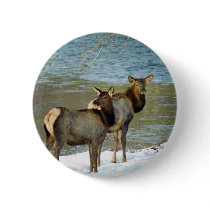 Mother And Baby Elk Pinback Buttons