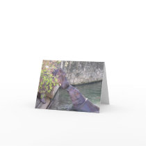 Mother and baby hippoes notecard