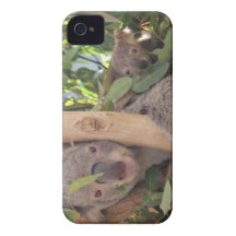 Mother and Baby Koala iPhone 4 Case-Mate Cases