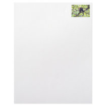 Mother and Baby Monkey Letterhead Design