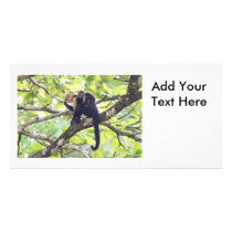 Mother and Baby Monkey Customized Photo Card