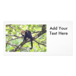 Mother and Baby Monkey Customized Photo Card