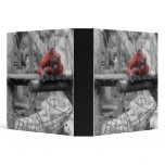 Mother and Baby Orangutan Binder