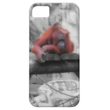 Mother and Baby Orangutan iPhone 5 Case