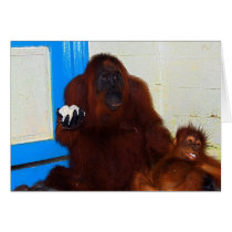 Mother and Baby: Snack Time cards