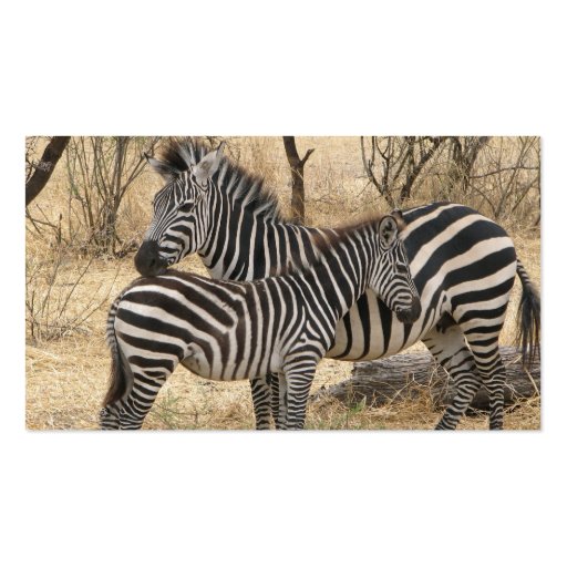 Mother and Baby Zebra Business Cards (back side)