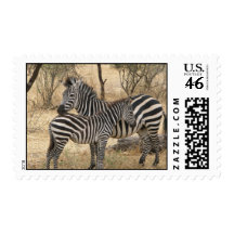 Mother and Baby Zebra  Postage Stamp