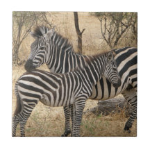 Mother and Baby Zebra  Tile
