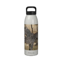 Mother and Baby Zebra Water Bottle