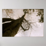 Mother and Child Print