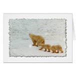 Mother and cubs cards