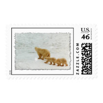 Mother and cubs postage
