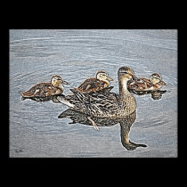 Mother and Ducklings posters