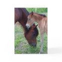 Mother and foal greeting card