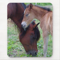Mother  and foal mousepad mousepads