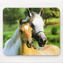 Mother and Foal mousepads by Horse_Play Mother and Foal mousepads
