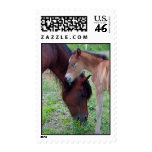 Mother and foal  postage