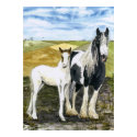 'Mother and Foal' Poster posters by picklelillysdad 'Mother and Foal' Poster posters