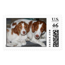 Mother and Son Brittanys Stamps