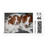 Mother and Son Brittanys postage