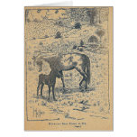 Mother Bent DownTo Me Black Beauty Cards