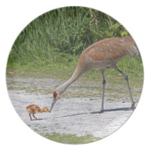 Mother Bird and Baby Bird Sandhill Cranes Dinner Plates