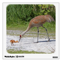 Mother Bird and Baby Bird Sandhill Cranes Wall Graphics