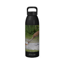 Mother Bird and Baby Bird Sandhill Cranes Drinking Bottle