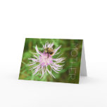 Mother Birthday Card Bee on Blossom