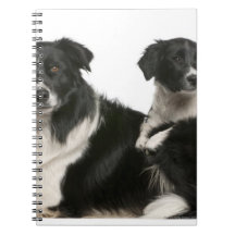 Mother border collie and puppy spiral notebook