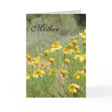 Mother card