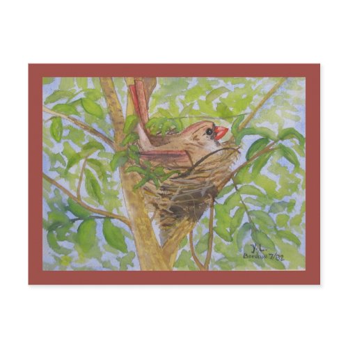Mother Cardinal on Nest postcard