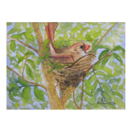 Mother Cardinal on Nest print