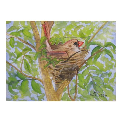 Mother Cardinal on Nest print