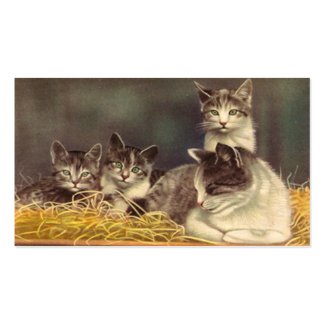 Mother Cat and Kittens profilecard