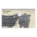 Mother Cows Licking Her Infant Business Card Template